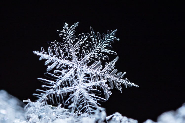 snowglake on dark background