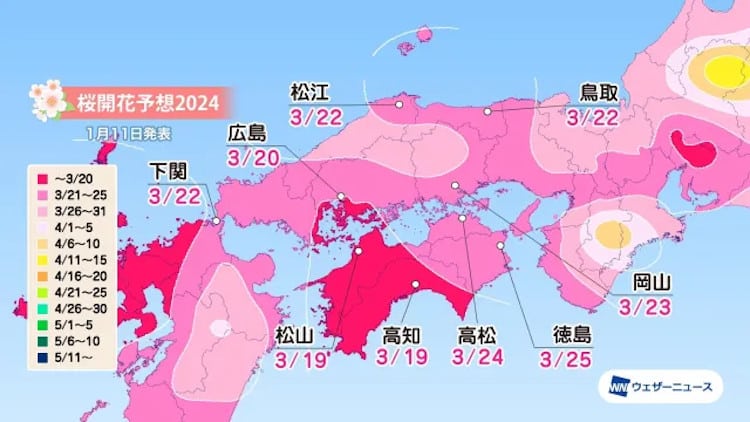 map of japan with cherry blossom season start forecast