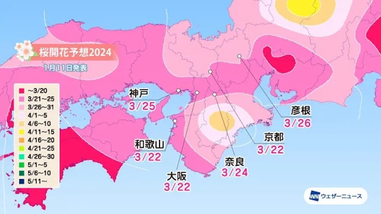 map of japan with cherry blossom season start forecast