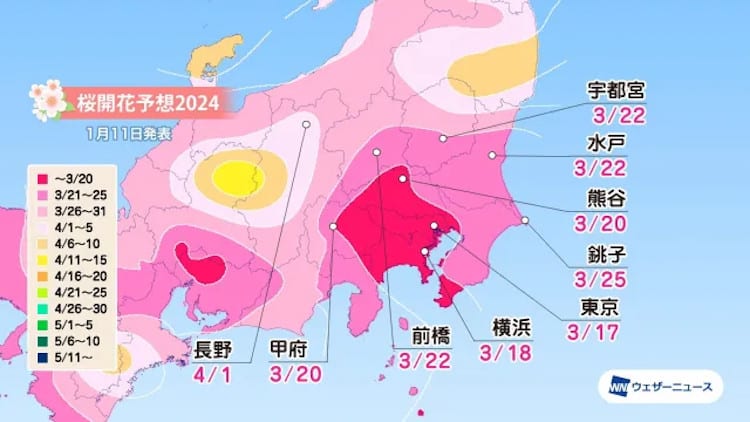 map of japan with cherry blossom season start forecast