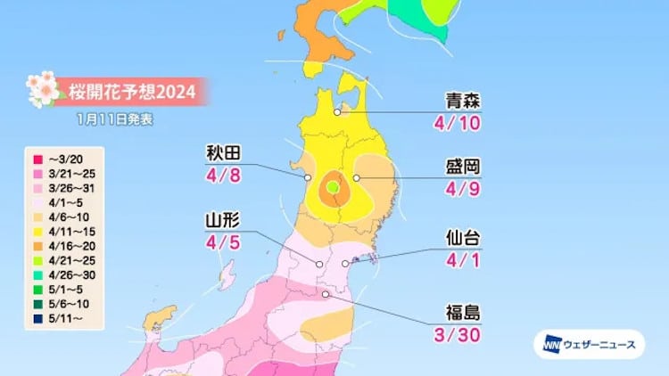 map of japan with cherry blossom season start forecast