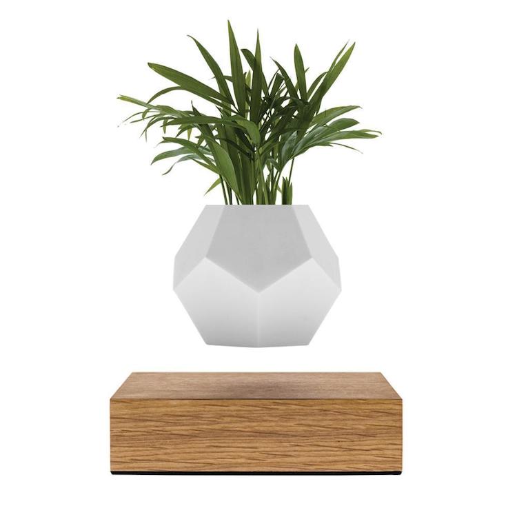 Floating Planter