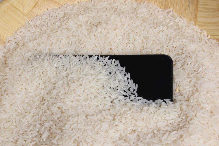 Phone In Rice