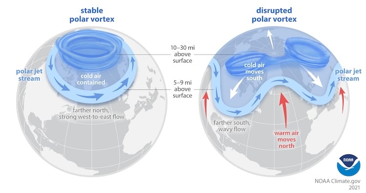 Polar Vortex Disruption