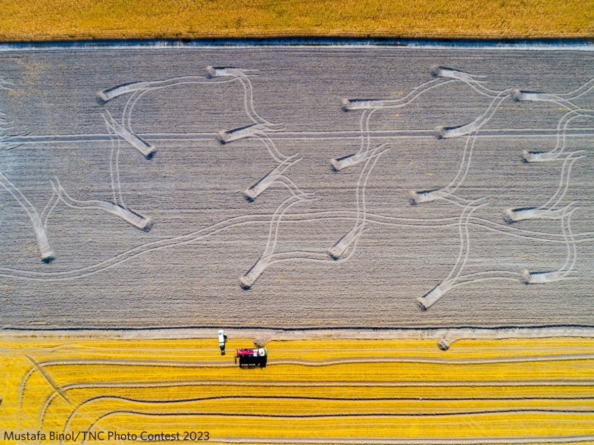 Aerial view of farmland in Turkey