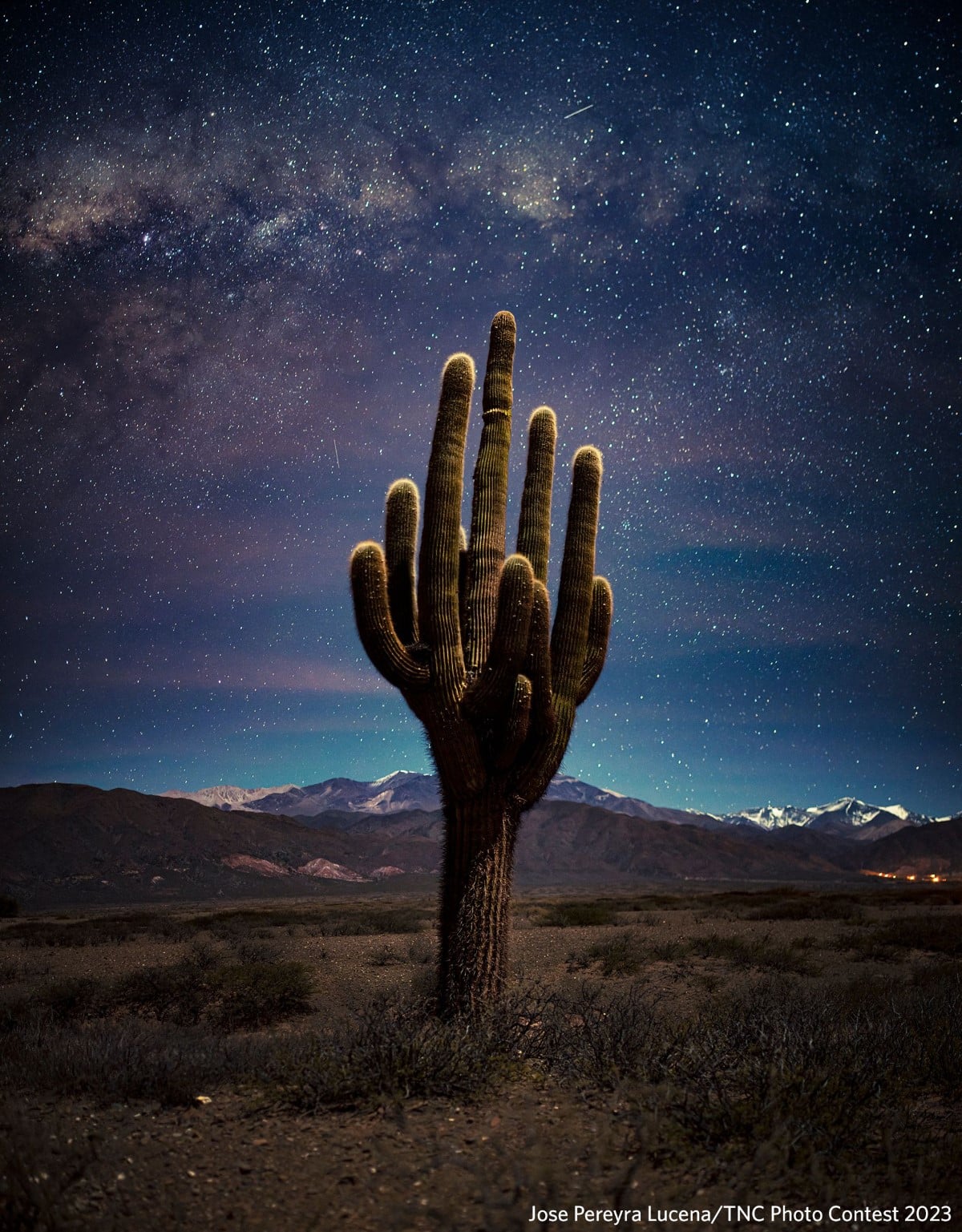 El Cardón in Argentina at night