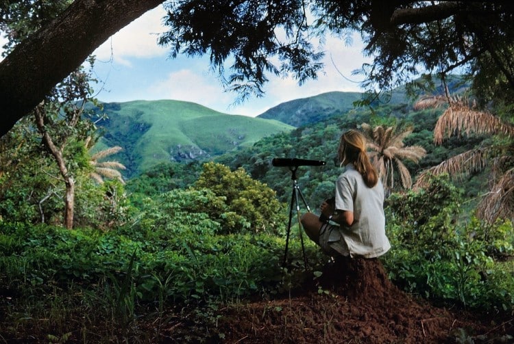 Jane Goodall Self Portrait from 1962