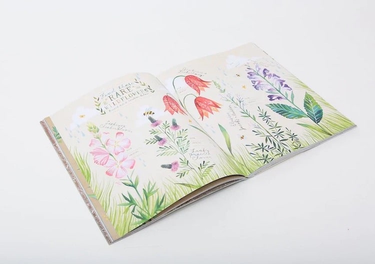 Wildflowers Workbook