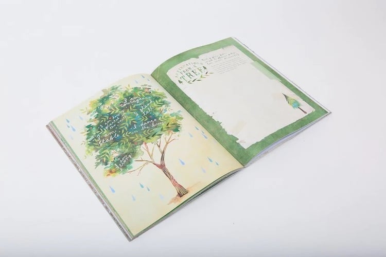 Wildflowers Workbook